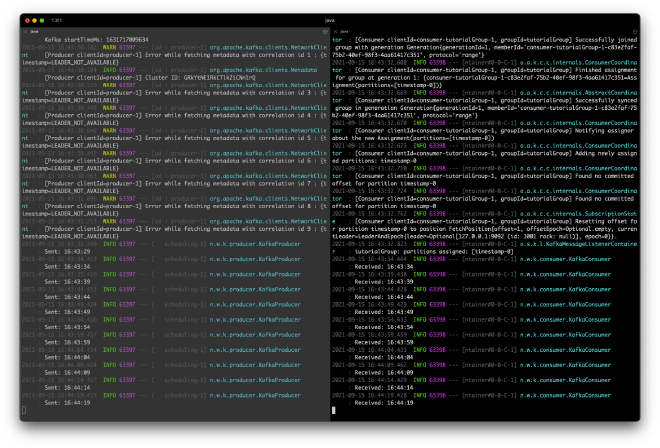 Terminal Output