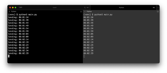 Terminal Output