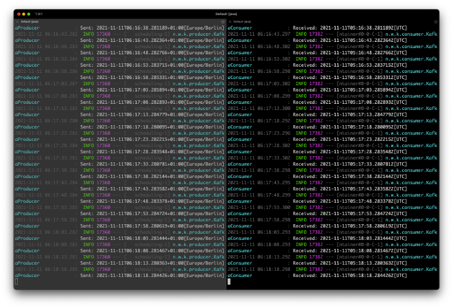 Terminal Output