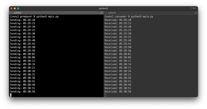 Terminal Output