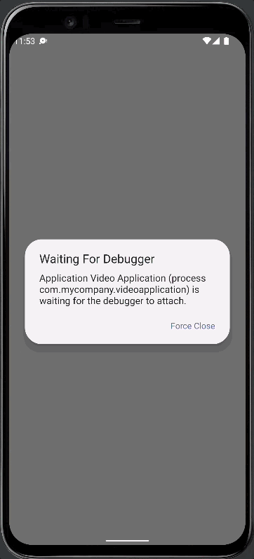 Video Playback